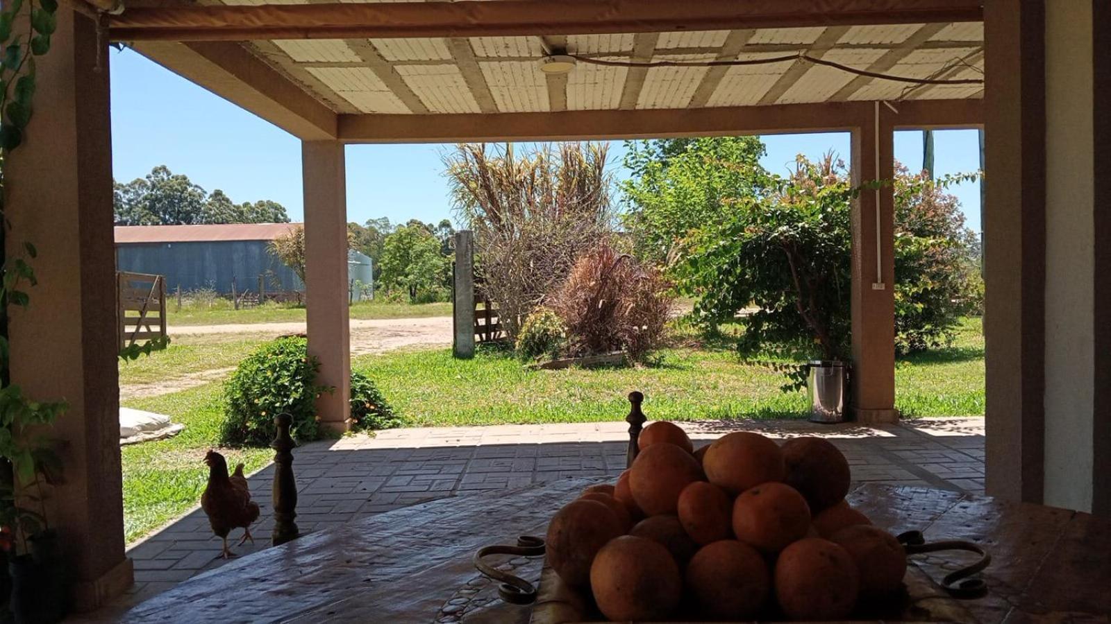 Santa Elena Holiday home Federacion