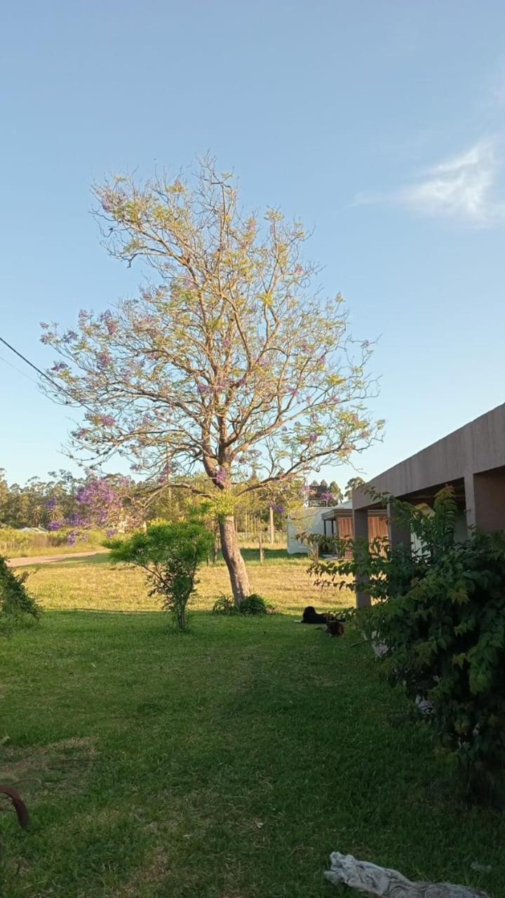 Santa Elena * Federacion